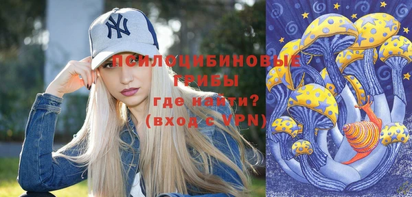 крисы Липки