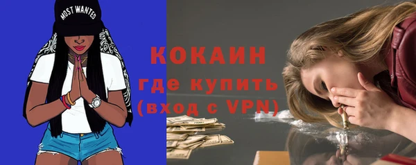 крисы Липки