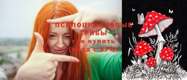 крисы Липки