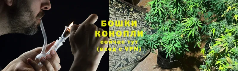 магазин продажи наркотиков  Чкаловск  Канабис OG Kush 